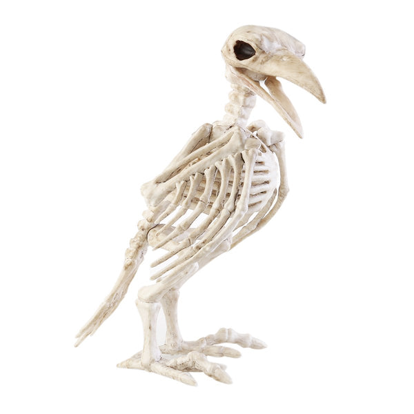 Crazy Bone Skeleton Raven 100% Plastic Animal Skeleton Bones Horror Christmas Prop Bird Crow Skeleton Decoration - LADSPAD.UK