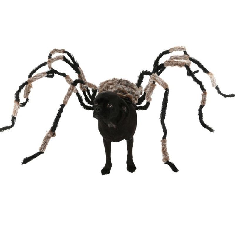 Funniest Halloween Spider Decoration Dog Costume DIY Large Spider Prop Homemade Dog Treats To Hand Out To Dogs