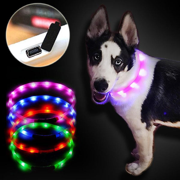 Adjustable USB luminous Lighting LED dog collar - LADSPAD.UK